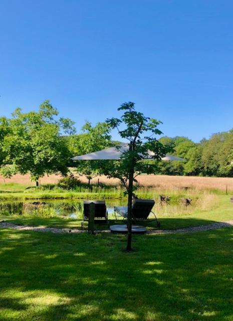 Erve Nijkamp Villa Tubbergen Exteriör bild